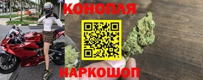 мяу мяу мука Кунгур