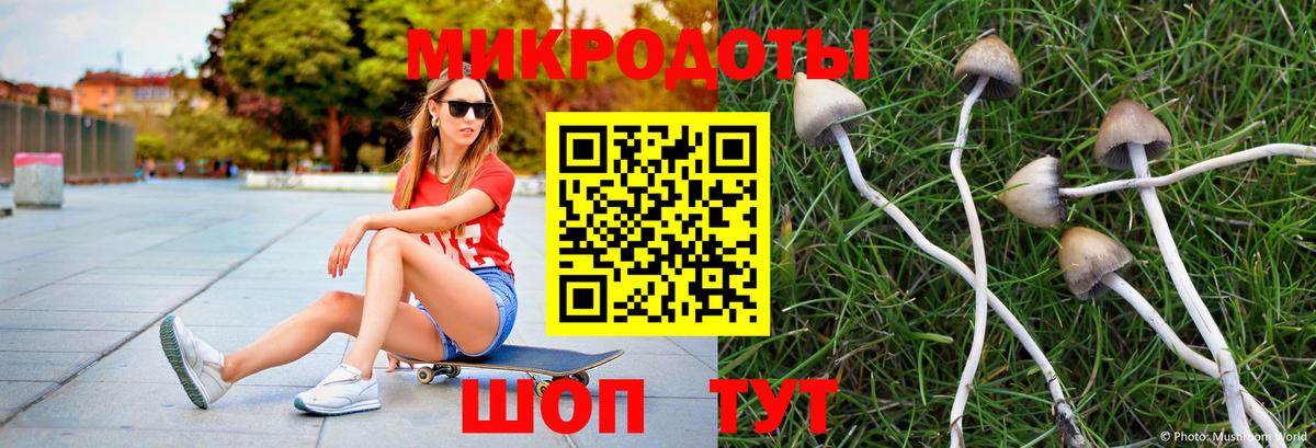 Фурманов  Псилоцибиновые грибы мухоморы  Вход с VPN 